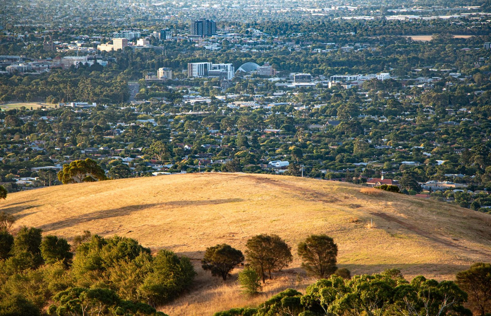 Adelaide city skyline and suburbs spread across the plain seen from golden hills