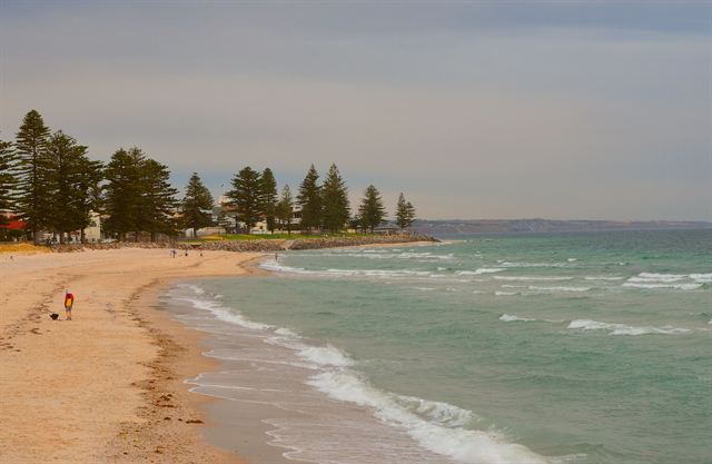 Glenelg Beach in Adelaide with golden sand, rolling surf and Norfolk pines along the shore