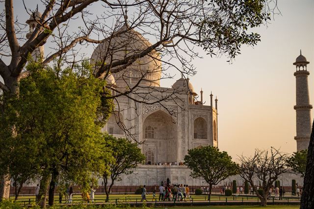 Taj Mahal and a minaret in warm evening light framed by trees in the Agra gardens