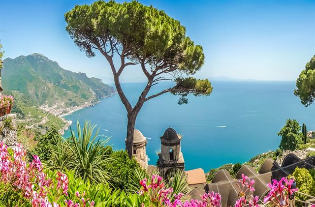 Umbrella pine and flowering garden in Ravello overlooking the Amalfi Coast shoreline
