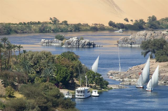 White feluccas sailing between granite islands and palms on the Nile at Aswan