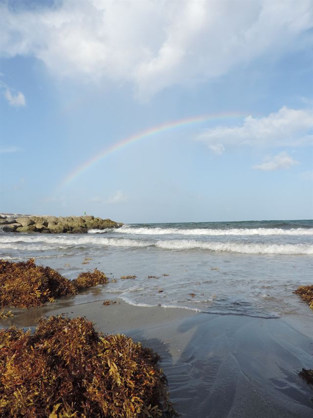 Rainbow arching over the ocean and rocky shoreline at a Boca Raton, Florida beach