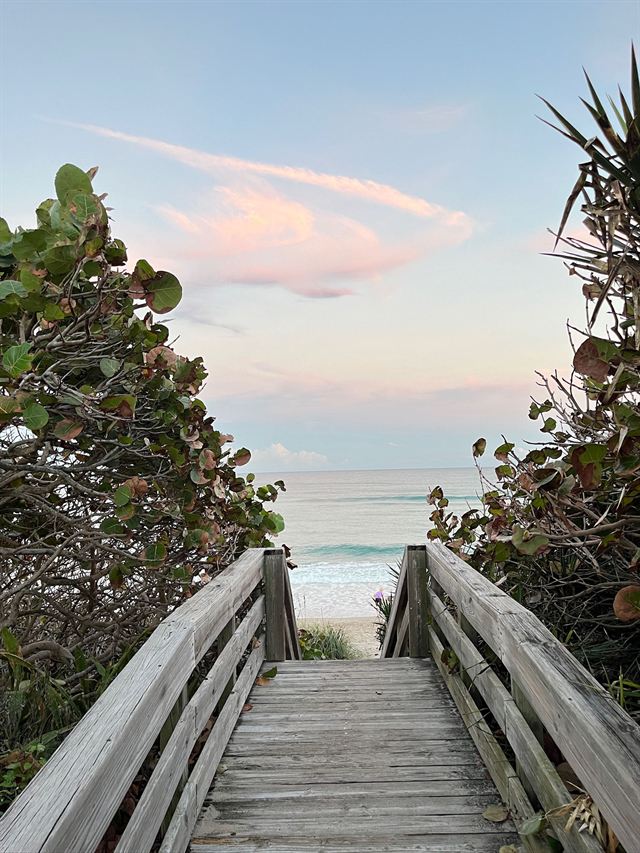 Wooden boardwalk through sea grape shrubs leading to the beach in Boca Raton, Florida