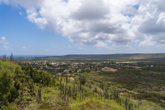Hillside view over dry cactus scrub toward a Bonaire town and the distant sea