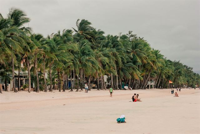 Palm trees leaning over the powdery sand of White Beach on Boracay