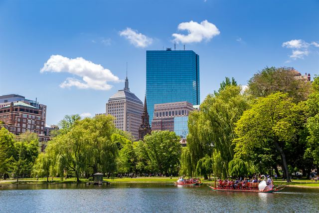 Boston Public Garden lagoon with swan boats and Back Bay towers