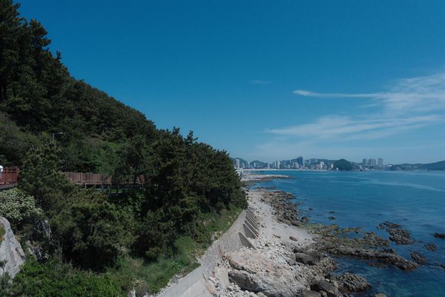 Rocky Igidae coastal trail in Busan with pine-covered cliffs and Haeundae skyline across the bay