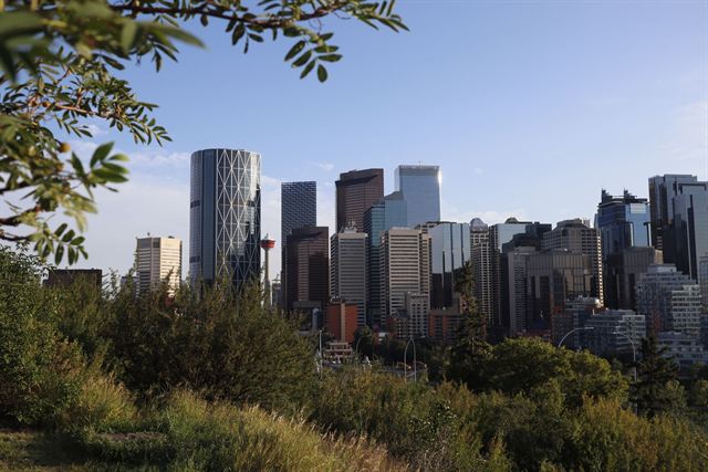 Calgary's downtown skyscrapers rising behind shrubs and trees on a sunny day
