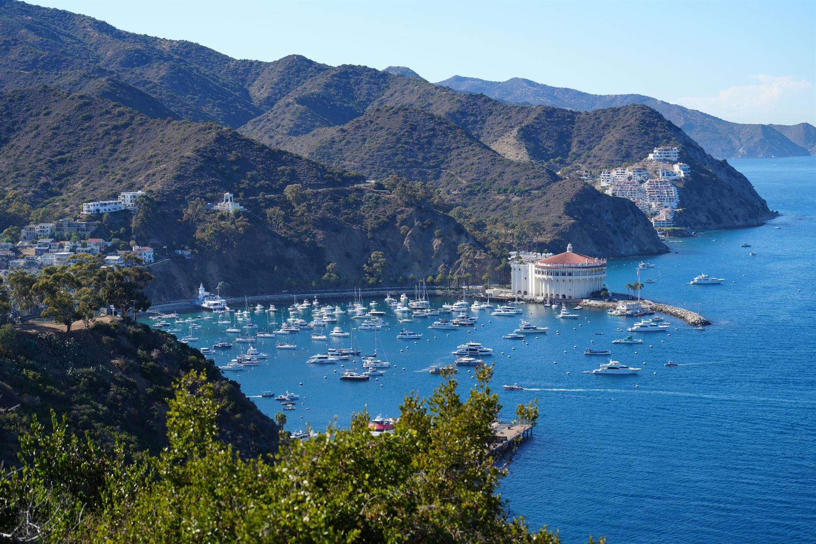 Avalon Harbor on Catalina Island with the round Catalina Casino, moored boats and steep green hills