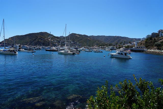 Boats anchored in the deep blue water of Avalon Bay beneath the hills of Catalina Island