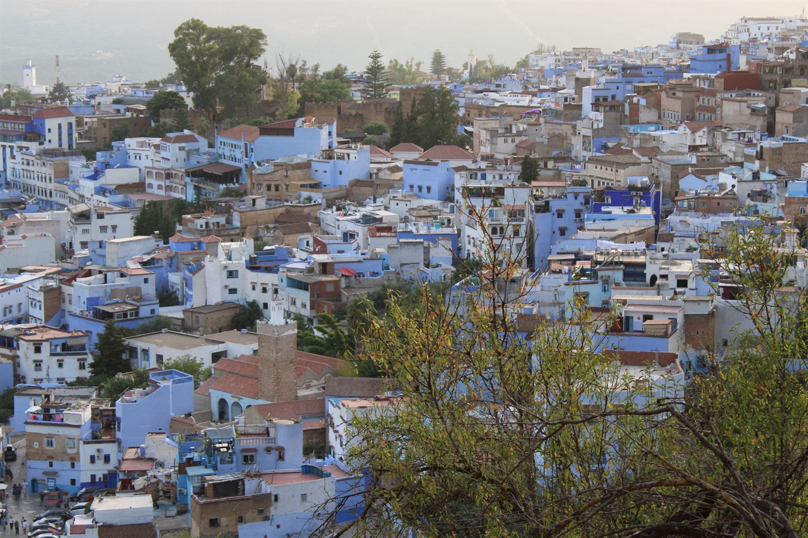 Hillside panorama of the blue- and white-washed houses of Chefchaouen in the Rif Mountains, Morocco