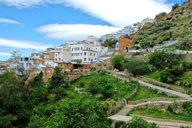 White and blue buildings of Chefchaouen climbing a green terraced hillside under blue sky