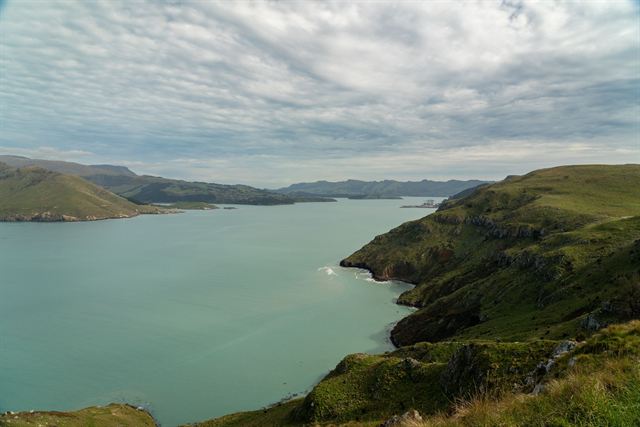 Lyttelton Harbour and Godley Head on Banks Peninsula near Christchurch, green hills and calm water