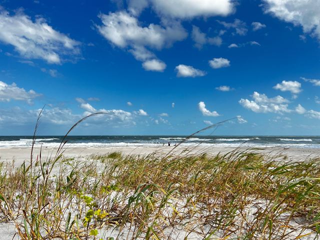 Cocoa Beach, Florida sand dunes with sea oats, Atlantic waves and a bright blue sky with clouds