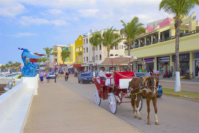 Horse-drawn carriage on Cozumel's palm-lined seafront boulevard beside colorful San Miguel shops