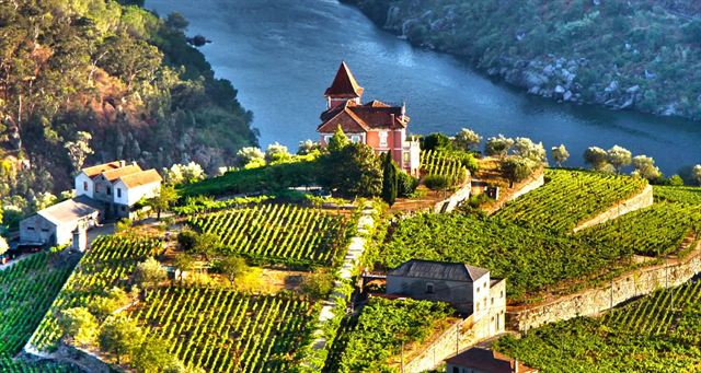 Douro Valley terraced vineyards and a hilltop quinta above the river bend
