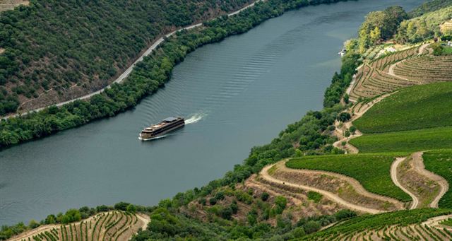 River cruise boat on the Douro River passing steep terraced vineyards, aerial view