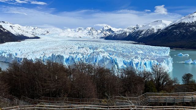 Perito Moreno Glacier stretching toward snow-capped mountains beyond the forest and viewing boardwalks