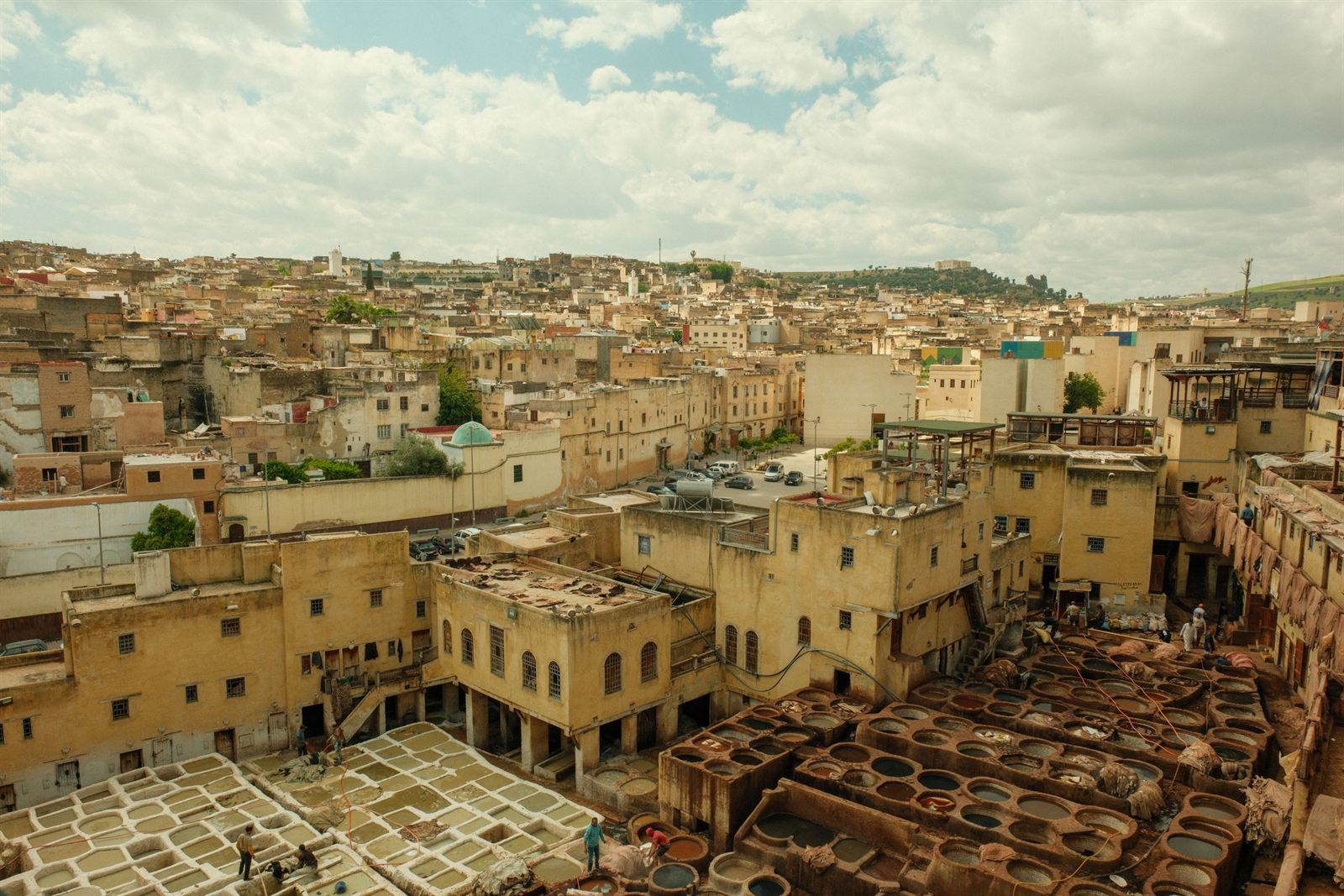 Fes el-Bali medina rooftops with the Chouara tannery dye pits in the foreground, Morocco