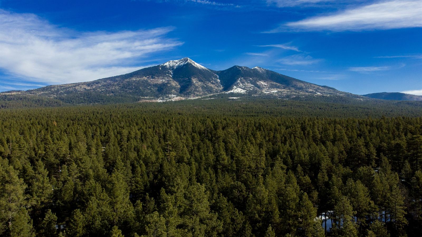 Snow-capped San Francisco Peaks rising above a vast ponderosa pine forest near Flagstaff, Arizona