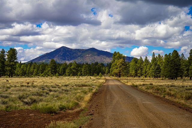Dirt road across a Flagstaff meadow leading toward a forested mountain under a cloudy sky