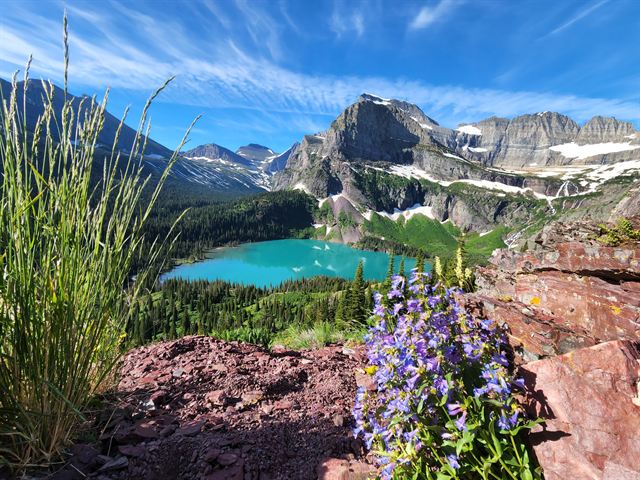 Turquoise Grinnell-area lake among jagged peaks framed by wildflowers in Glacier National Park