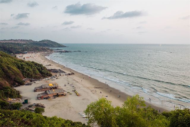 Elevated view of Chapora-area beach in North Goa, sand curving past beach shacks below a wooded headland