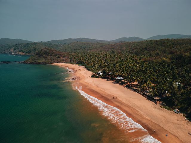 Aerial view of a palm-fringed crescent beach in Goa with green water and forested hills