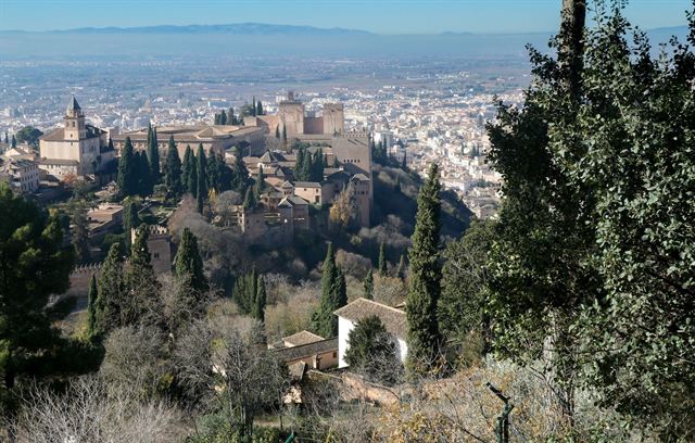 Alhambra complex seen through cypress trees on the hillside with Granada city spreading behind