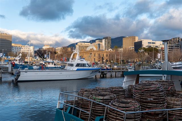 Fishing boats with cray pots in Hobart's Constitution Dock with city buildings and kunanyi/Mount Wellington behind