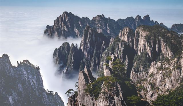 Granite peaks of Huangshan rising above a sea of clouds, Anhui