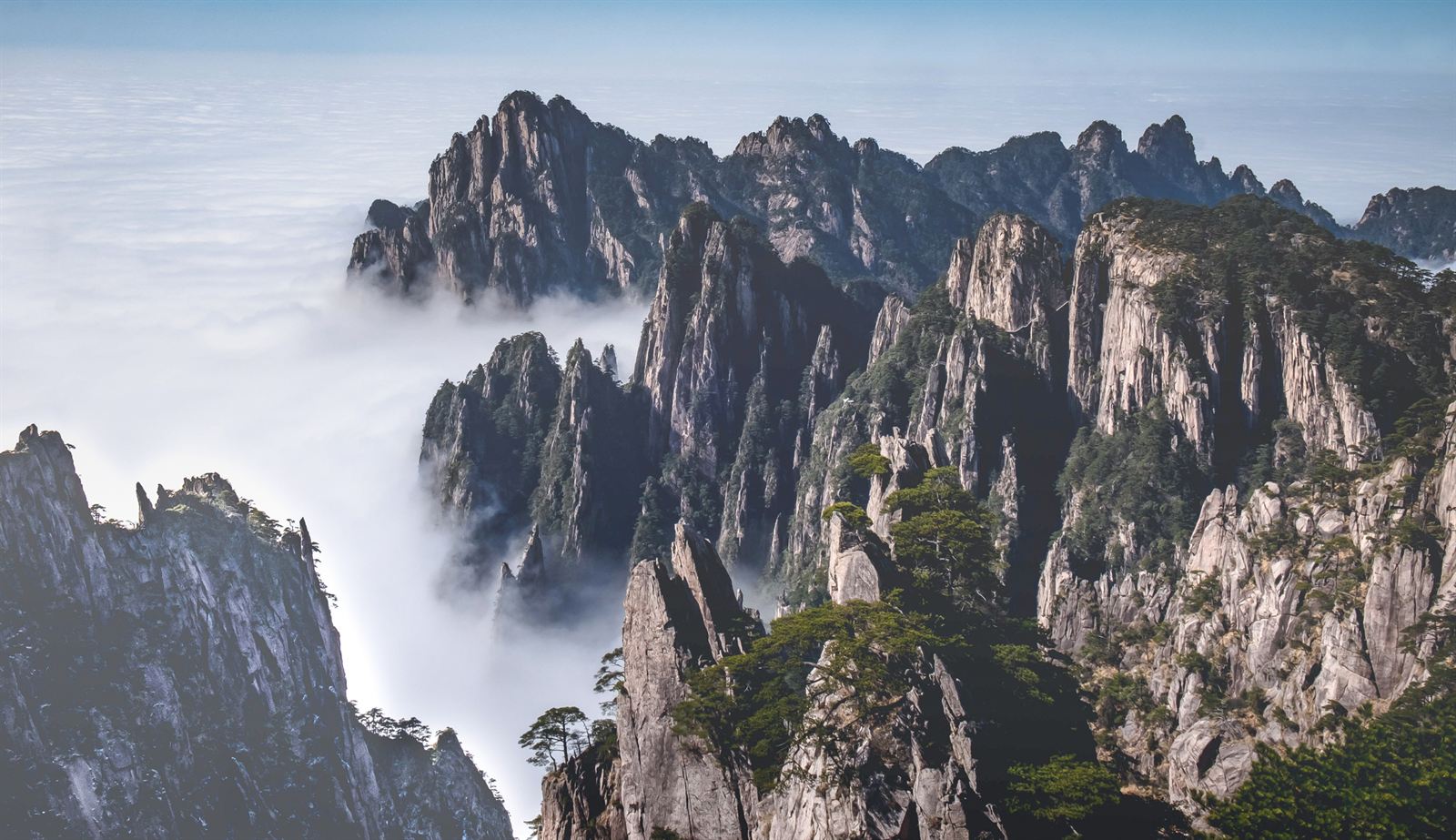 Granite peaks of Huangshan rising above a sea of clouds, Anhui