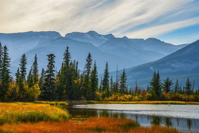 Autumn wetlands, spruce trees and a pond beneath the Rocky Mountains in Jasper National Park