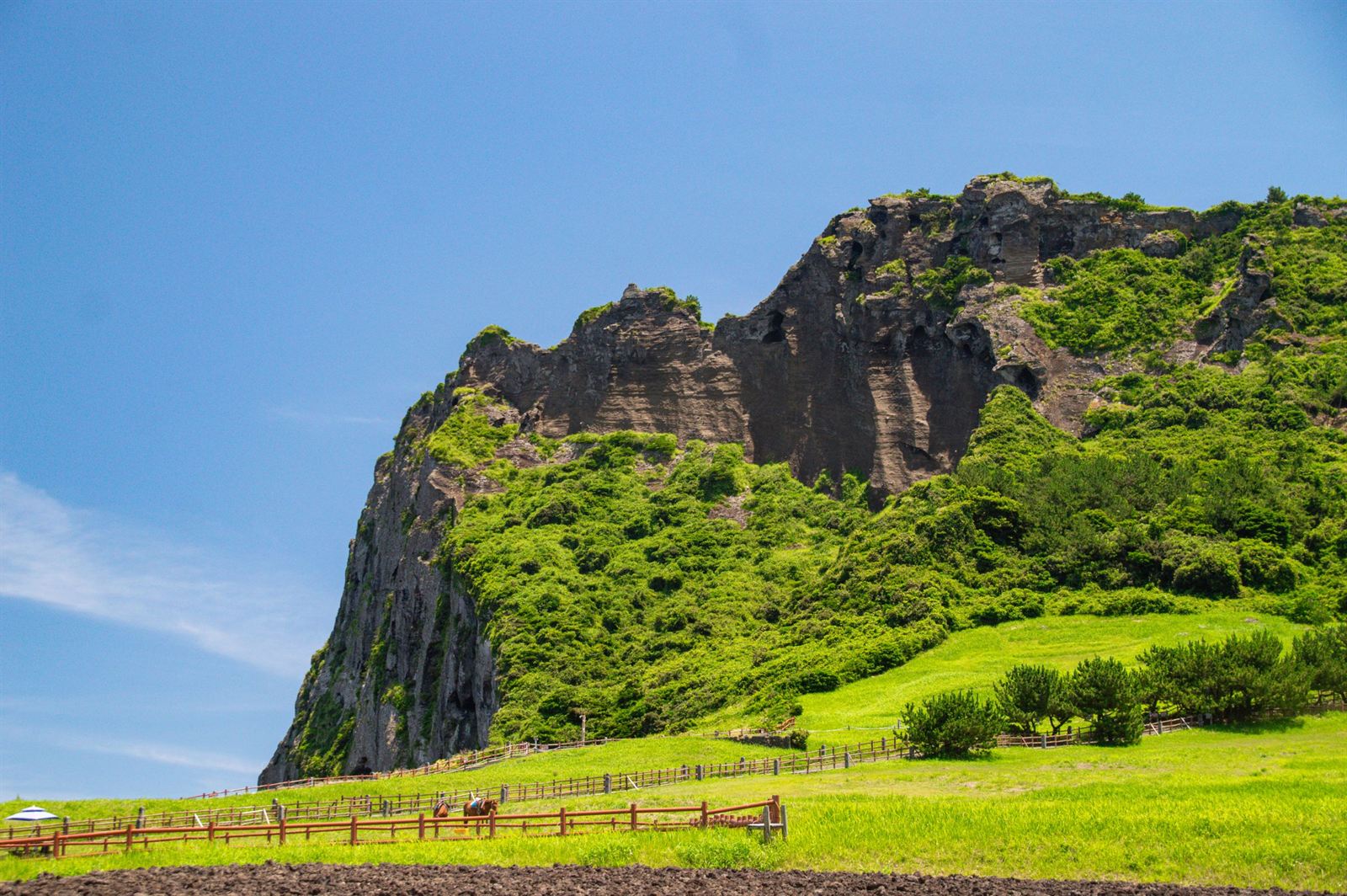 Seongsan Ilchulbong volcanic tuff cone's jagged rim above green meadows on Jeju Island