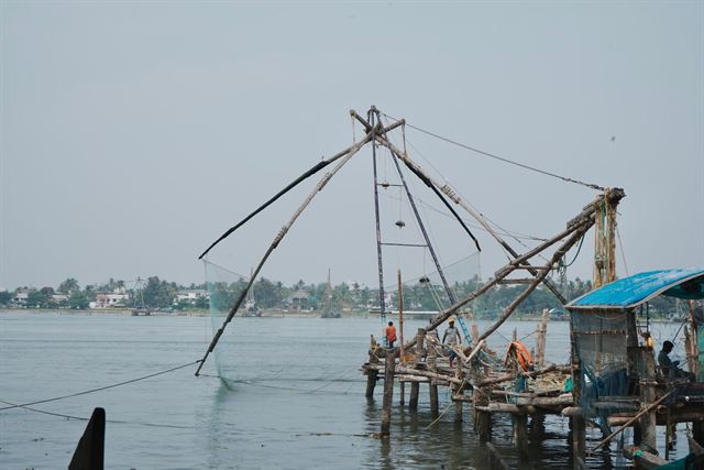Fishermen working a giant Chinese fishing net on the Kochi waterfront in Kerala