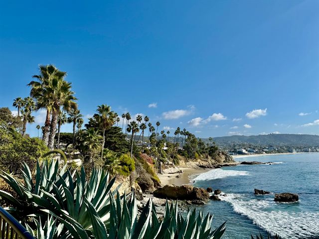 Laguna Beach coastline seen through agave and palm trees with rocky coves and blue Pacific surf