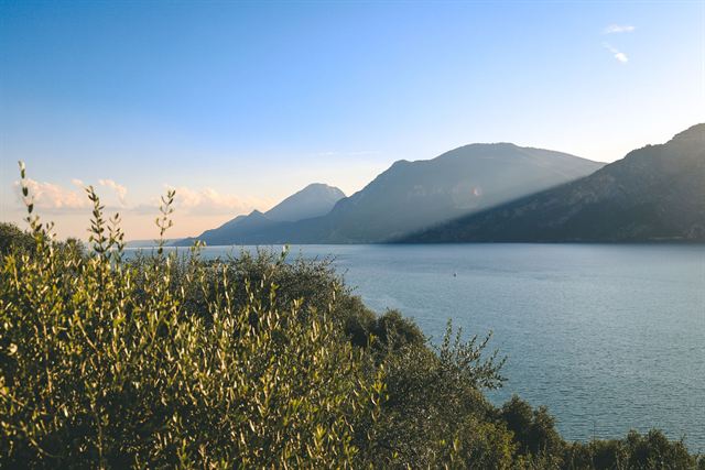 Lake Garda at sunset from an olive-covered hillside with mountains along the northern shore