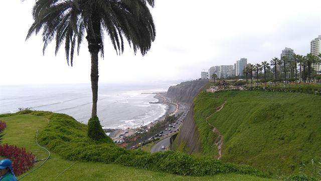 Green Miraflores clifftop park with a palm tree above the Lima coast road and Pacific