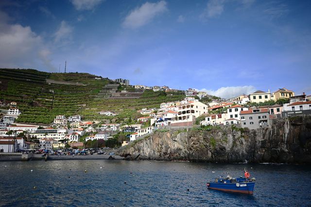 Madeira coastal village with white houses on a cliff, terraced vineyards and a blue fishing boat