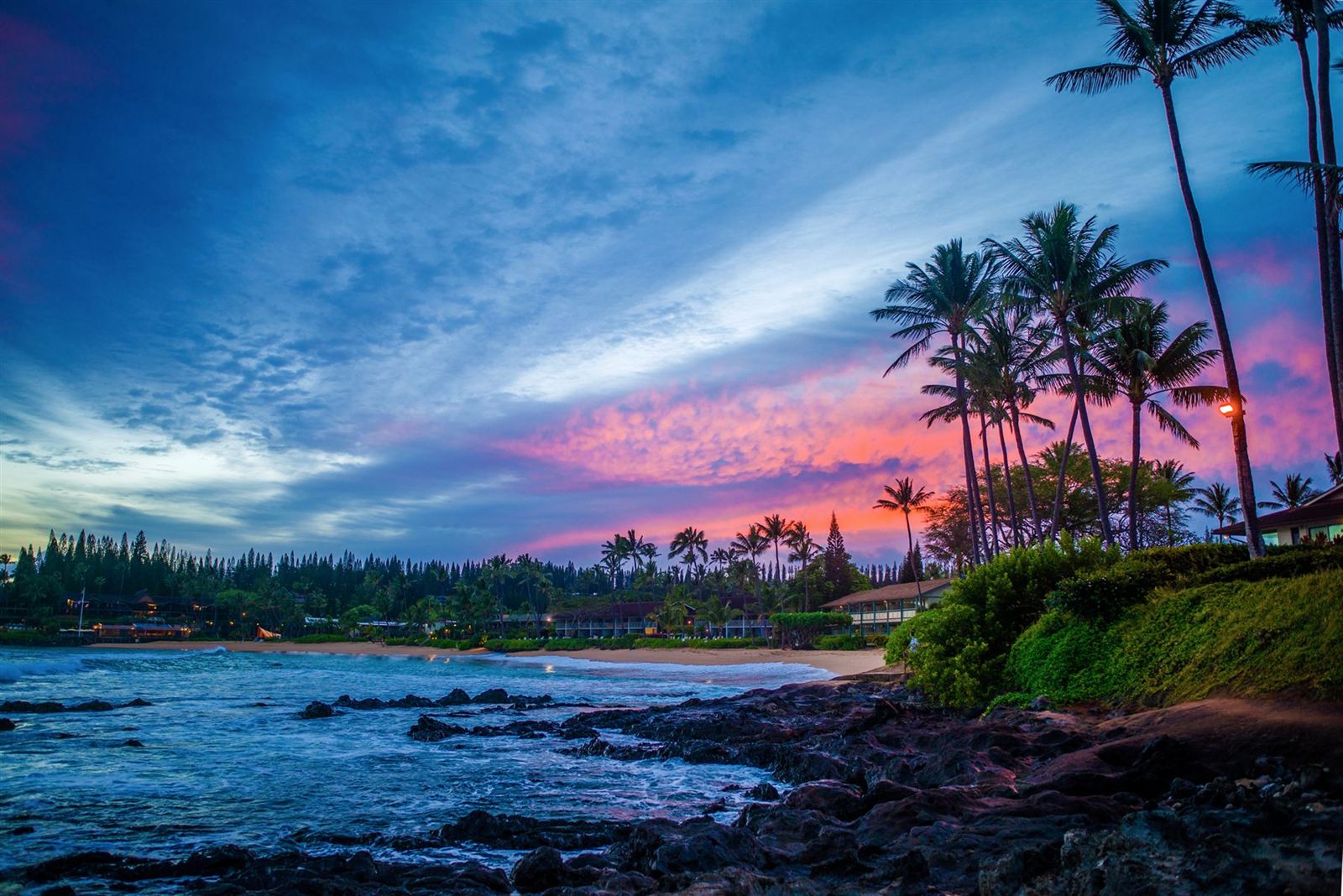 Palm trees and rocky shoreline under a pink twilight sky on Maui