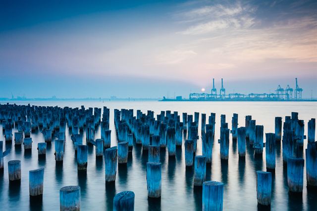 Rows of old timber pylons at Princes Pier, Port Melbourne, with cranes on the horizon