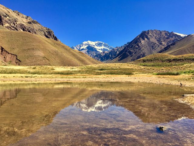 Snow-capped Aconcagua peak reflected in a still Andean lagoon in Mendoza province under blue sky