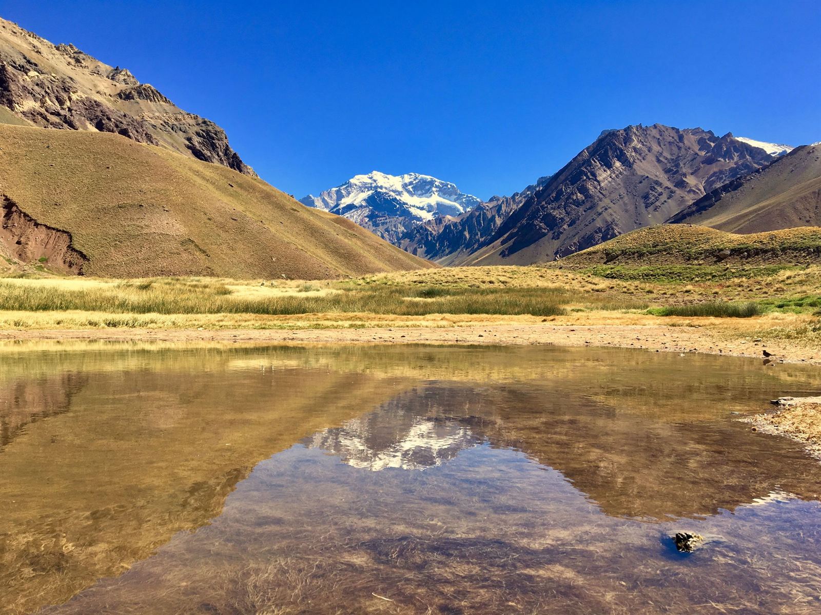 Snow-capped Aconcagua peak reflected in a still Andean lagoon in Mendoza province under blue sky