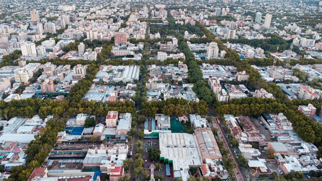 Aerial view of Mendoza city's leafy grid of tree-lined streets and low-rise buildings