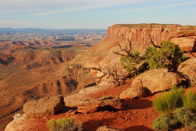 Canyonlands overlook with red mesas and junipers near Moab, Utah