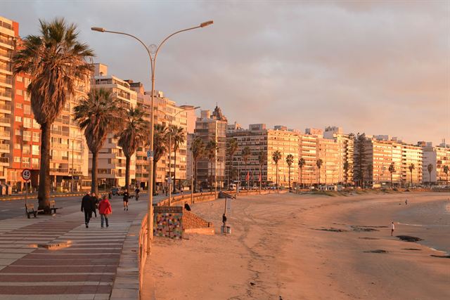 Palm-lined Rambla promenade and Pocitos beach in Montevideo glowing in warm sunset light