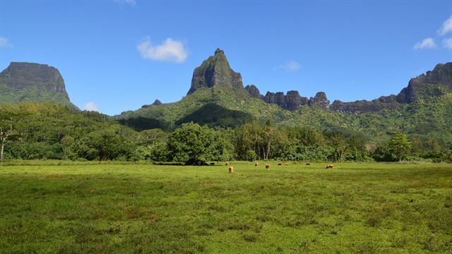 Green meadow below Moorea's dramatic volcanic peaks including Mount Mouaroa
