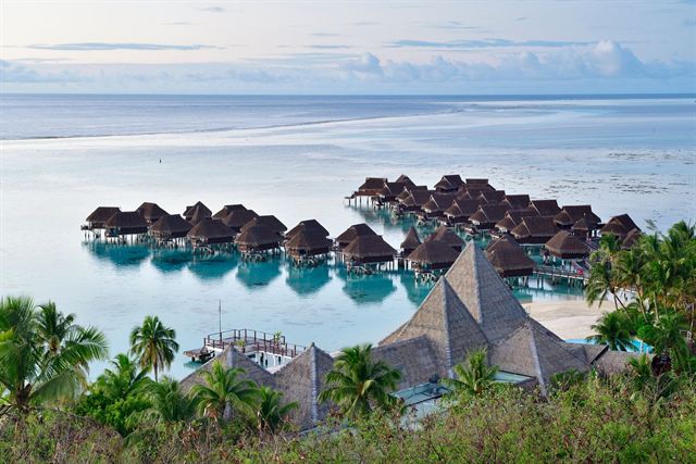 Overwater bungalows in Moorea's turquoise lagoon seen past thatched roofs and palms