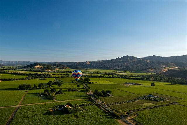 Hot air balloon floating over the green vineyards and farms of Napa Valley toward the hills
