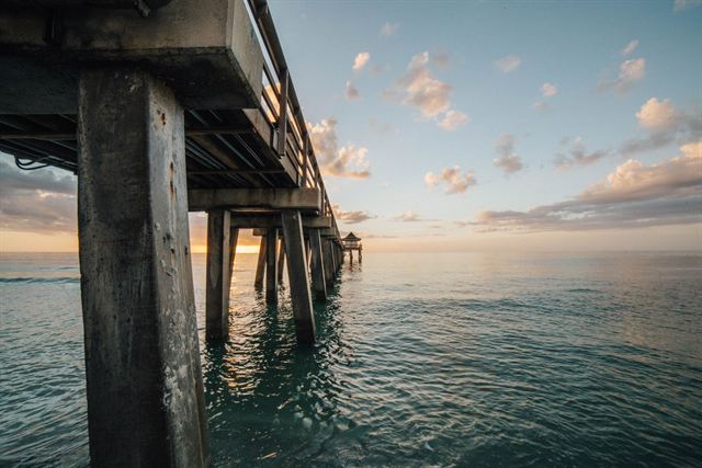 Wooden pilings beneath Naples Pier stretching over calm green Gulf water at sunset